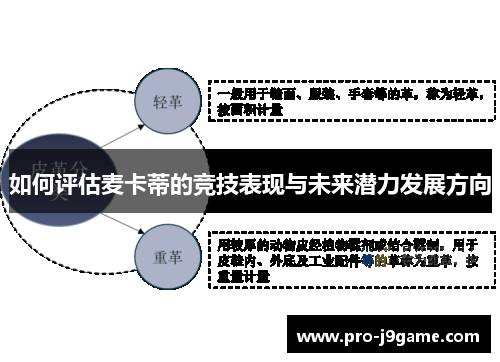 如何评估麦卡蒂的竞技表现与未来潜力发展方向 如何评估麦卡蒂的竞技表现与未来潜力发展方向